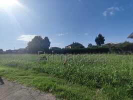 casale in vendita a Pressana