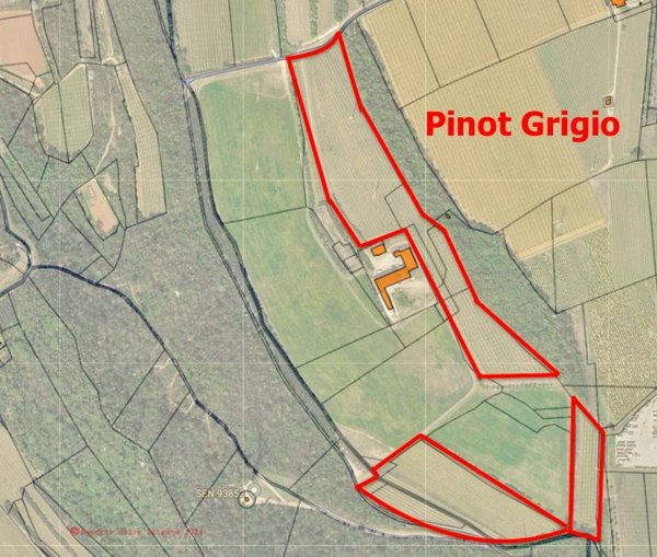 terreno agricolo in vendita a Rivoli Veronese