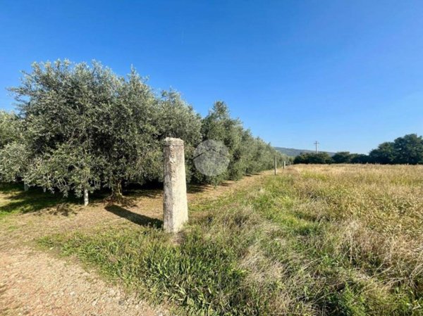terreno agricolo in vendita a Rivoli Veronese in zona Gaium