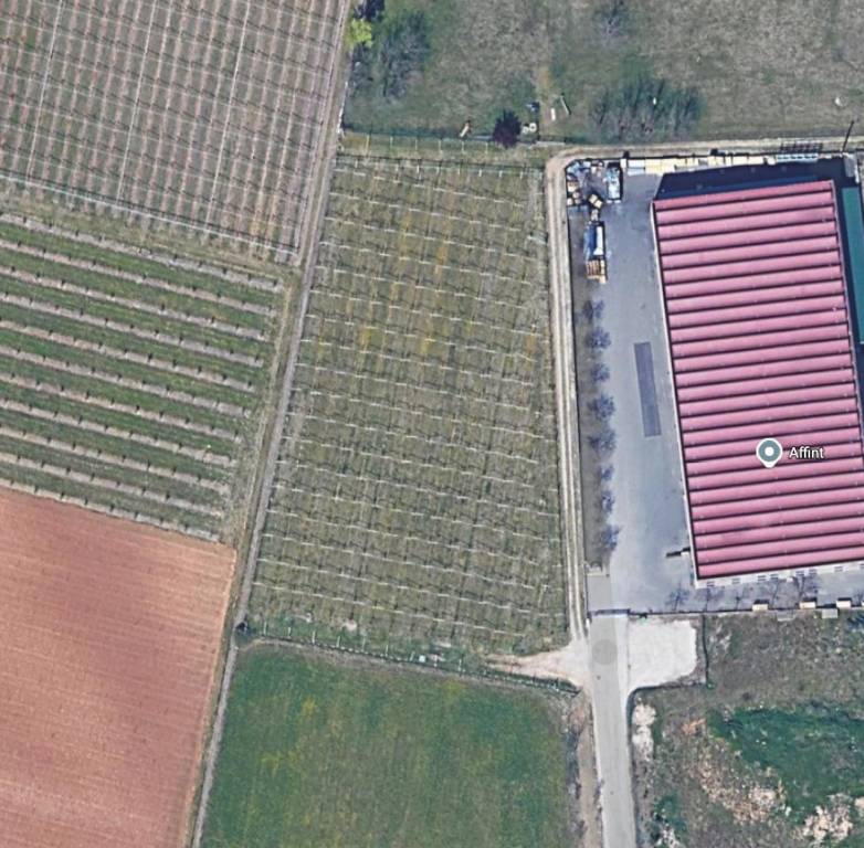 terreno agricolo in vendita a Rivoli Veronese