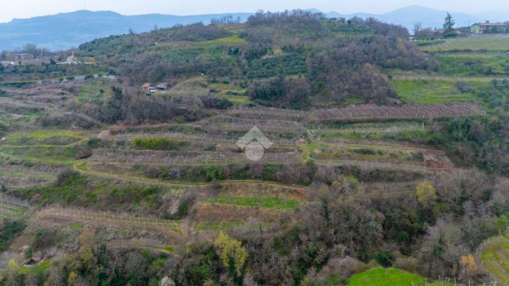 terreno agricolo in vendita a Roncà