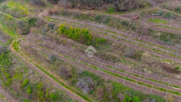 terreno agricolo in vendita a Roncà