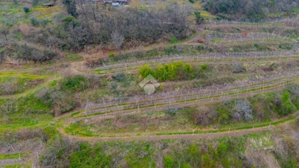 terreno agricolo in vendita a Roncà
