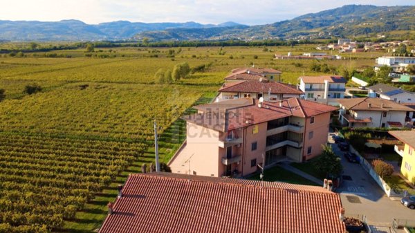 appartamento in vendita a Roncà in zona Terrossa