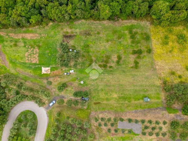 terreno agricolo in vendita a Roncà