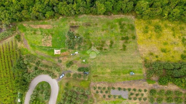 terreno agricolo in vendita a Roncà