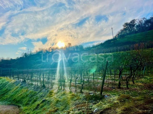 terreno agricolo in vendita a Roncà