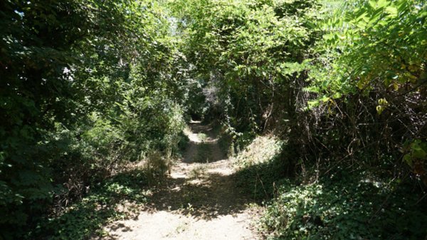 casa indipendente in vendita a Roncà