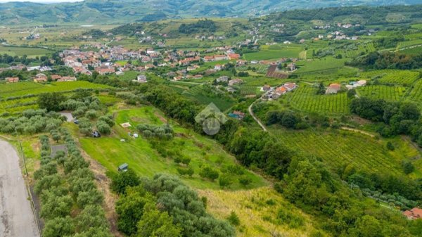 terreno agricolo in vendita a Roncà