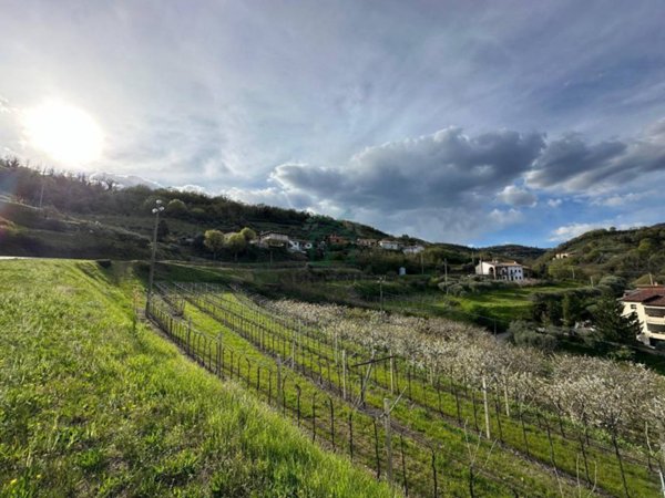 terreno agricolo in vendita a Roncà in zona Terrossa