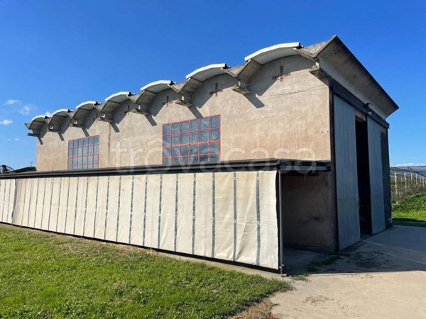 locale commerciale in vendita a Ronco all'Adige