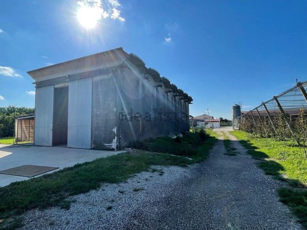 capannone in vendita a Ronco all'Adige
