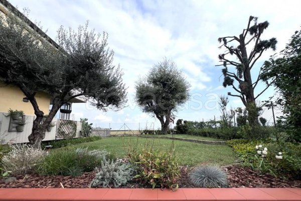 appartamento in vendita a Ronco all'Adige