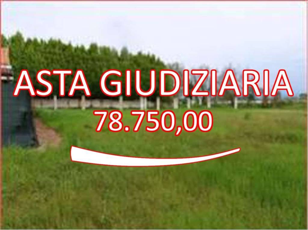 terreno agricolo in vendita a Roverchiara in zona Roverchiaretta
