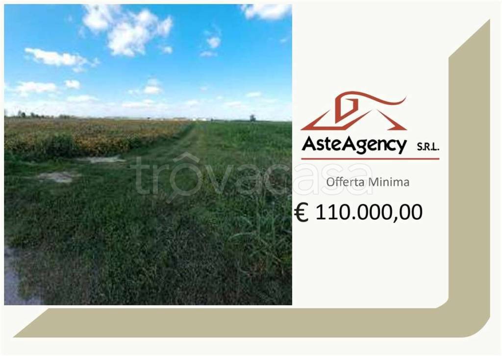 terreno agricolo in vendita a Roverchiara