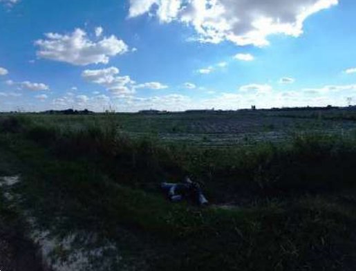 terreno agricolo in vendita a Roverchiara