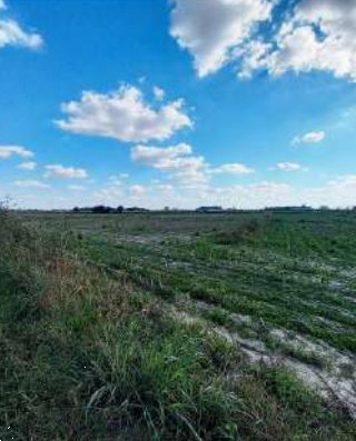 terreno agricolo in vendita a Roverchiara