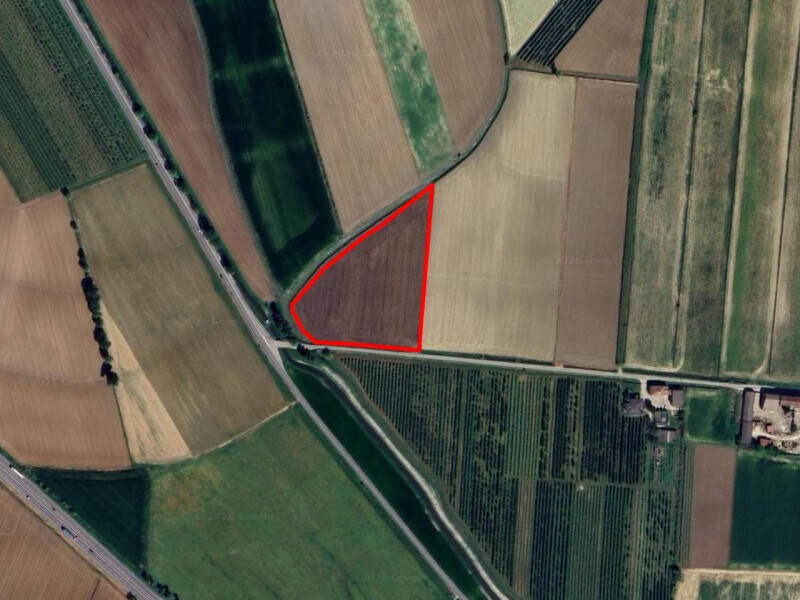 terreno agricolo in vendita a Roverchiara