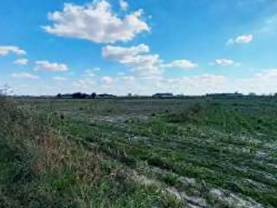 terreno agricolo in vendita a Roverchiara