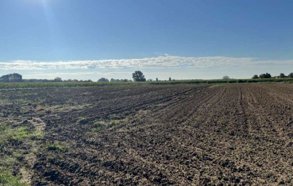 terreno agricolo in vendita a Roverchiara