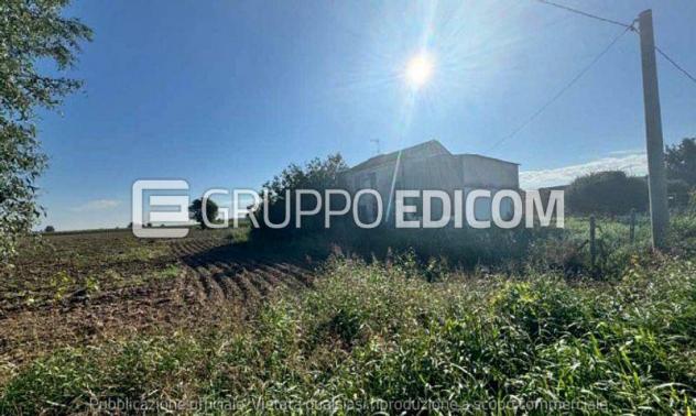 terreno agricolo in vendita a Roverchiara