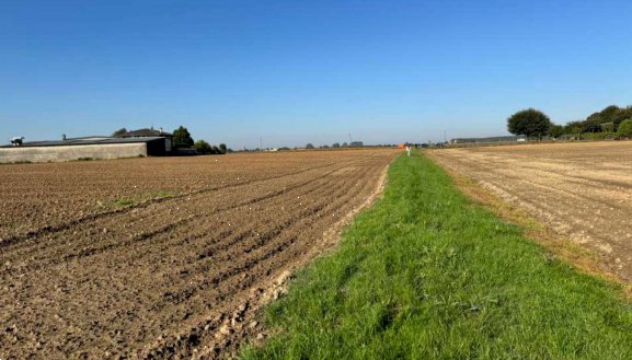 terreno agricolo in vendita a Roverchiara