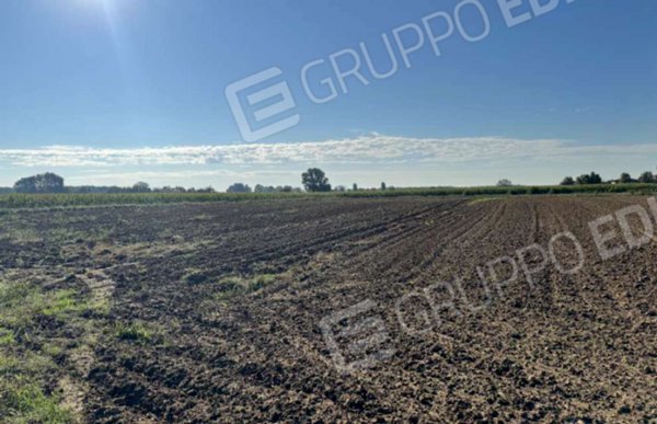 terreno edificabile in vendita a Roverchiara