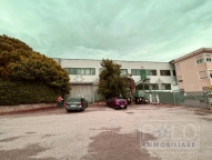 negozio in vendita a Roveredo di Guà