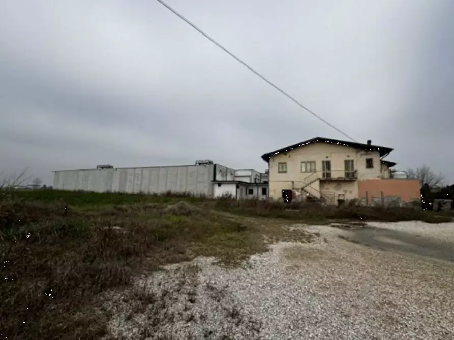 negozio in vendita a Roveredo di Guà