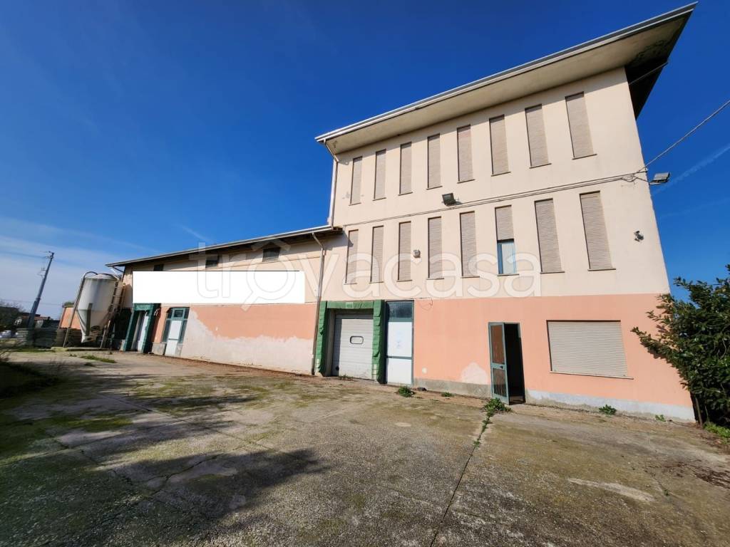 locale commerciale in vendita a Roveredo di Guà