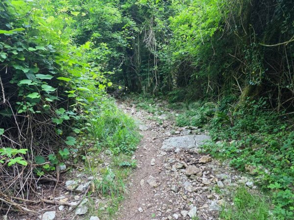 terreno agricolo in vendita a Roverè Veronese