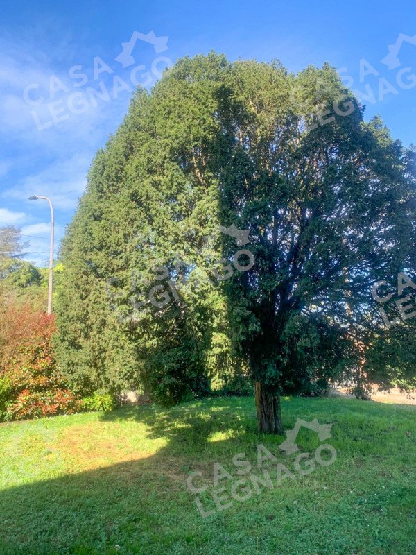 casa indipendente in vendita a Salizzole in zona Valmorsel