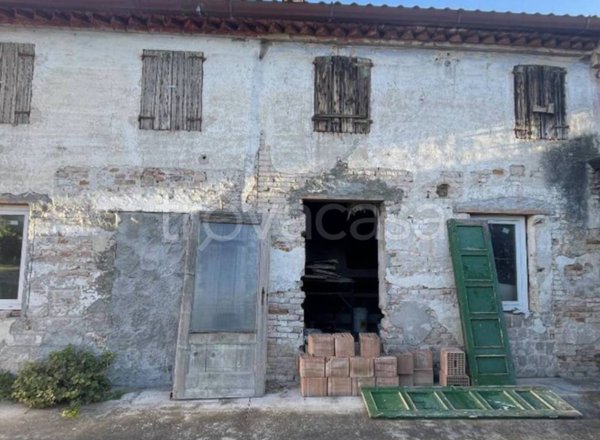 appartamento in vendita a Salizzole