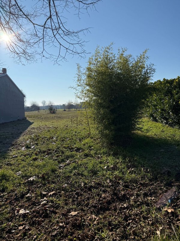 casa indipendente in vendita a Salizzole