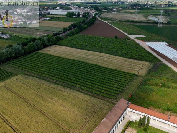 terreno agricolo in vendita a San Bonifacio