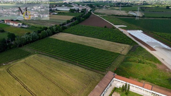 terreno agricolo in vendita a San Bonifacio