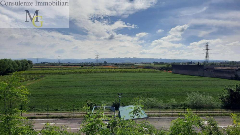 terreno agricolo in vendita a San Bonifacio