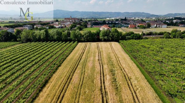 terreno agricolo in vendita a San Bonifacio