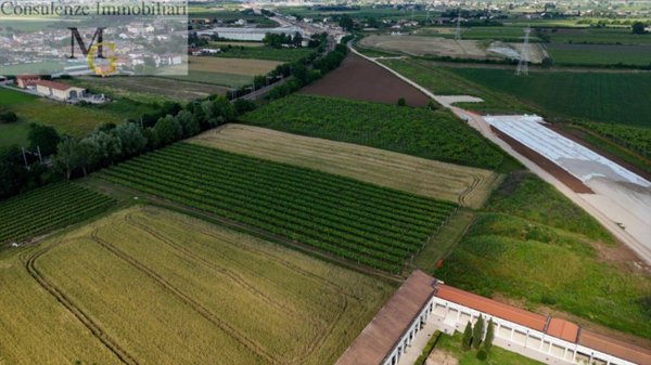 terreno agricolo in vendita a San Bonifacio