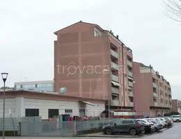 appartamento in vendita a San Bonifacio