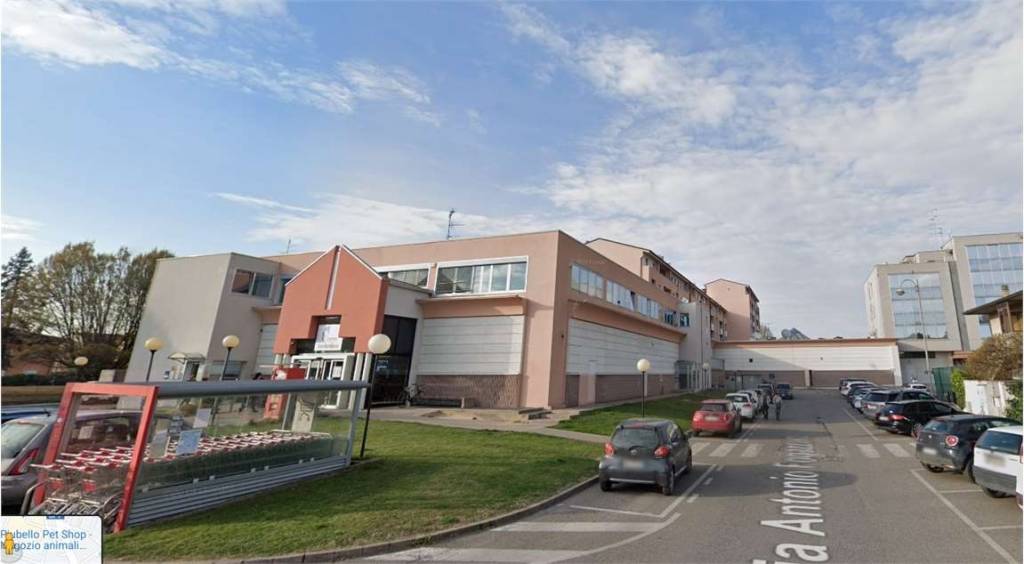 immagine annuncio 0 di 8