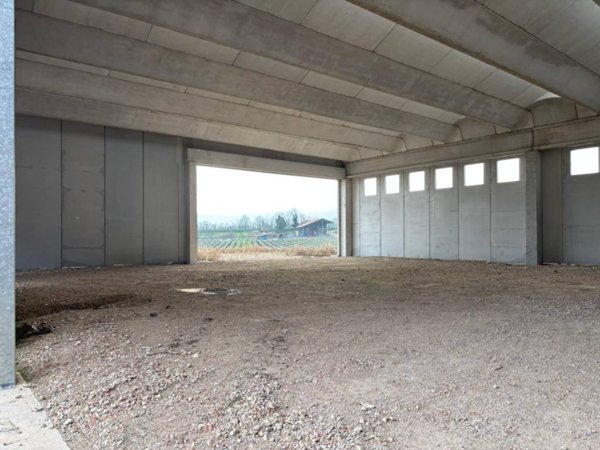 capannone in vendita a San Bonifacio