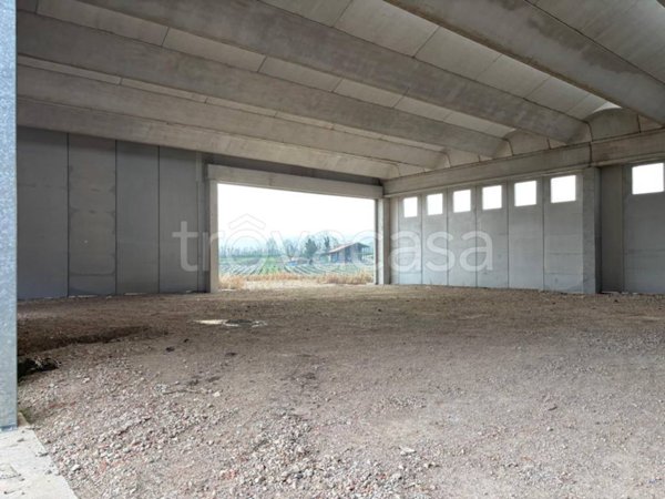 terreno edificabile in vendita a San Bonifacio