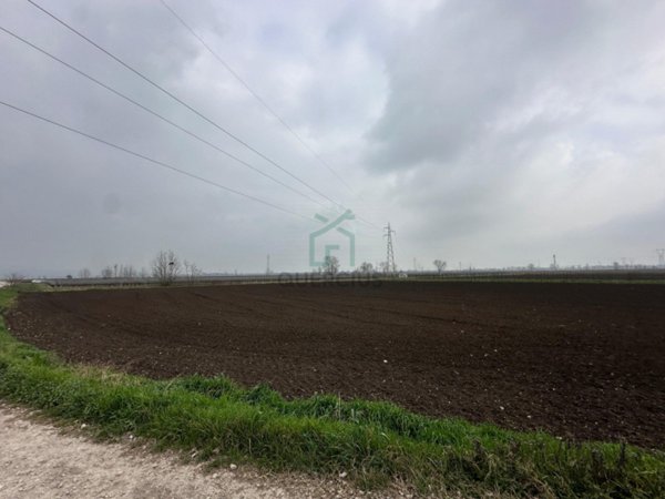 terreno agricolo in vendita a San Bonifacio