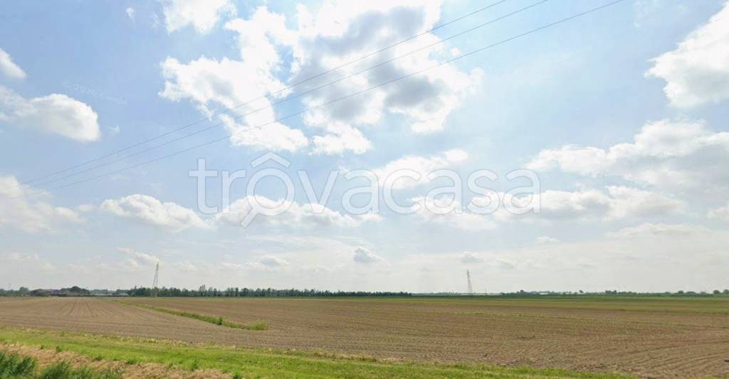 terreno agricolo in vendita a San Bonifacio