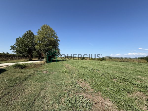 terreno agricolo in vendita a San Bonifacio