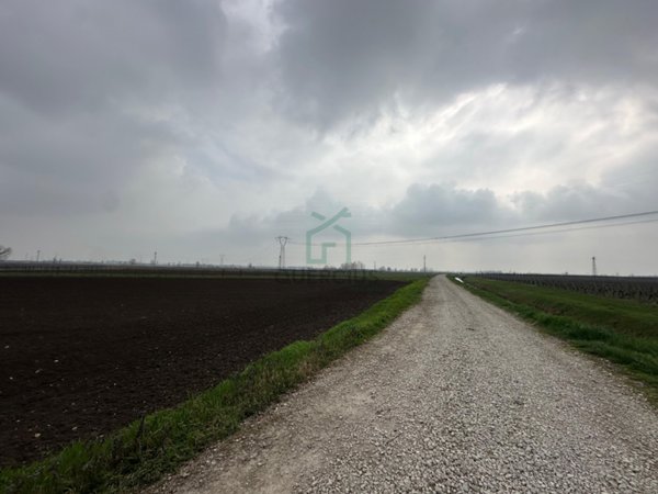 terreno agricolo in vendita a San Bonifacio