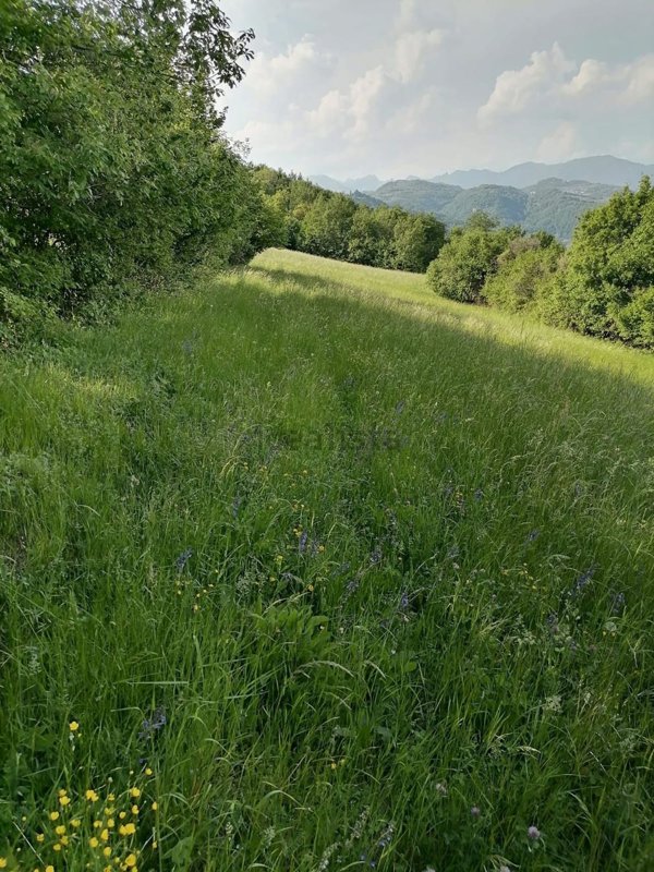 terreno in vendita a San Giovanni Ilarione in zona Cattignano