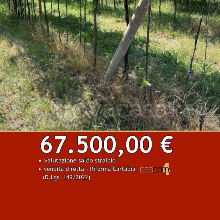 terreno in vendita a San Giovanni Ilarione in zona Castello