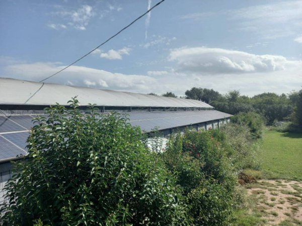terreno agricolo in vendita a San Giovanni Lupatoto